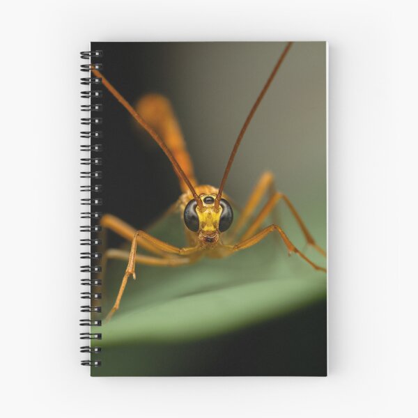 Item preview, Guardian of the Night: Intrusive Gaze of an Orange Wasp Macro designed and sold by John-Erna.