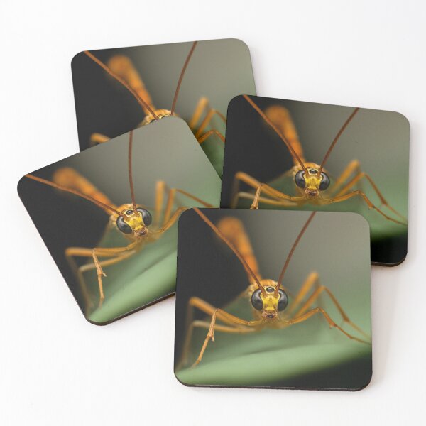 Item preview, Guardian of the Night: Intrusive Gaze of an Orange Wasp Macro designed and sold by John-Erna.