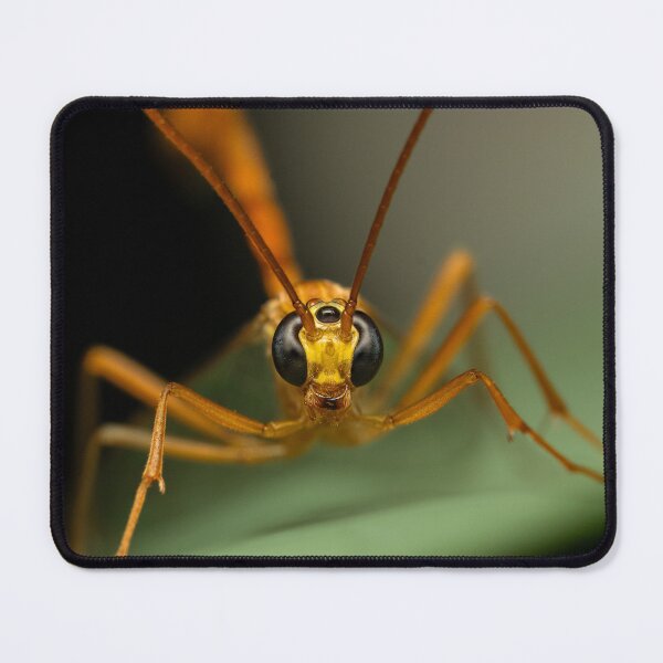 Item preview, Guardian of the Night: Intrusive Gaze of an Orange Wasp Macro designed and sold by John-Erna.