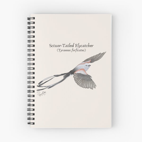 Item preview, Texas Native Bird- Scissor-tailed Flycatcher (Tyrannus foficatus) Vintage Nature Art designed and sold by Marguerite Artistry.