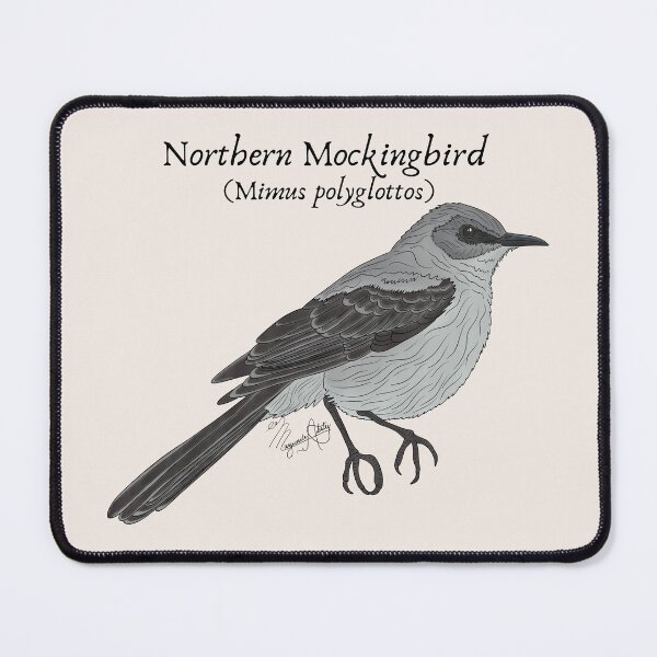 Item preview, Texas Native Bird- Northern Mockingbird (Mimus polyglottos) Vintage Nature Art designed and sold by Marguerite Artistry.