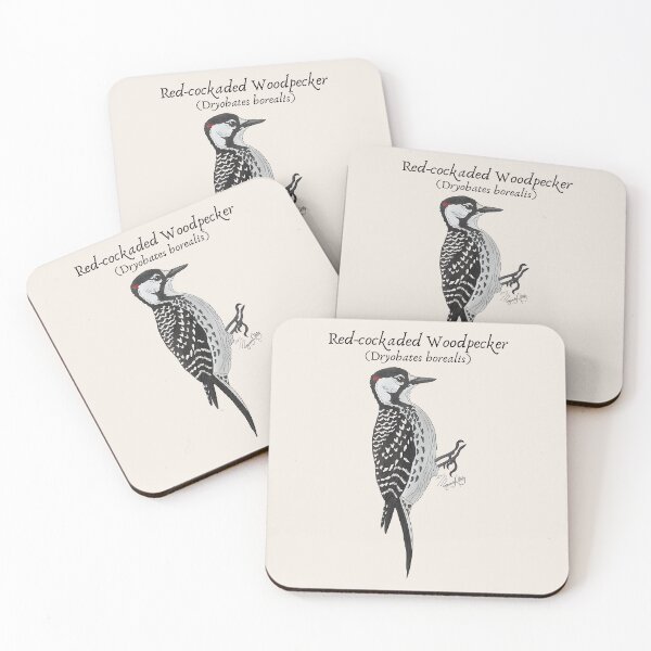 Item preview, Texas Native Bird- Red-cockaded Woodpecker (Dryobates borealis) Vintage Nature Art designed and sold by Marguerite Artistry.