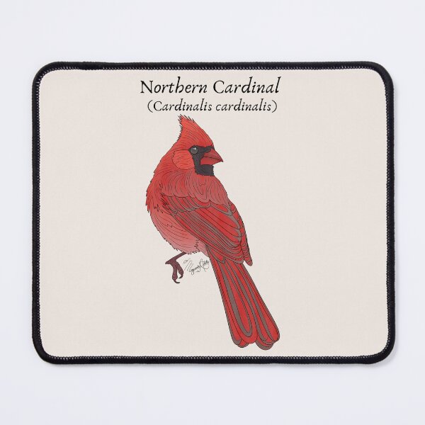Item preview, Texas Native Bird- Northern Cardinal (Cardinalis cardinalis) Vintage Nature Art designed and sold by Marguerite Artistry.