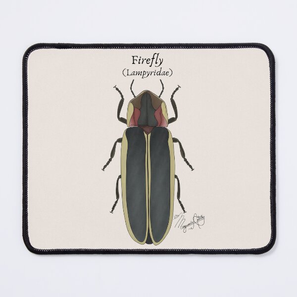 Item preview, Texas Native Insect- Firefly (Lampyridae) Vintage Nature Art designed and sold by Marguerite Artistry.