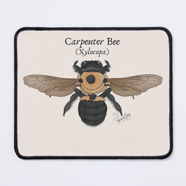 Item preview, Texas Native Insect- Carpenter Bee (Xylocopa) Vintage Nature Art designed and sold by Marguerite Artistry.