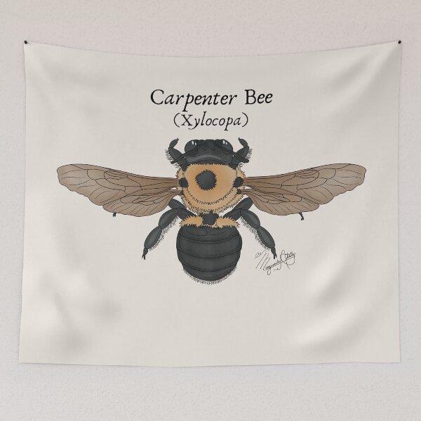 Item preview, Texas Native Insect- Carpenter Bee (Xylocopa) Vintage Nature Art designed and sold by Marguerite Artistry.