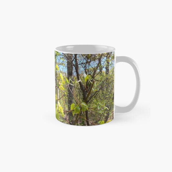 Item preview, Black Capped Chickadee designed and sold by SCTBUFFALOPHOTO.