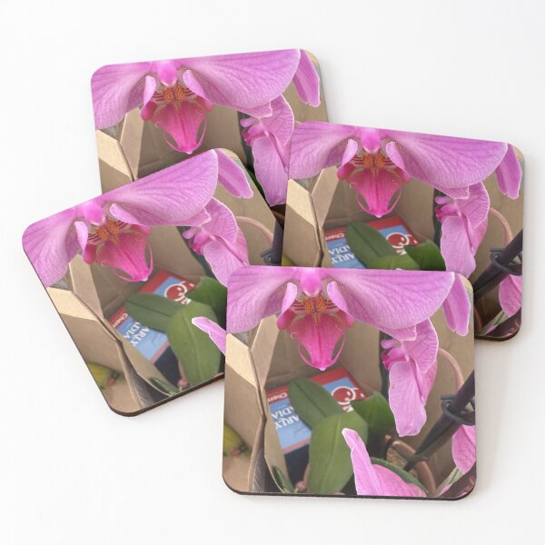 Item preview, GROCERIES designed and sold by Swooncake Press.