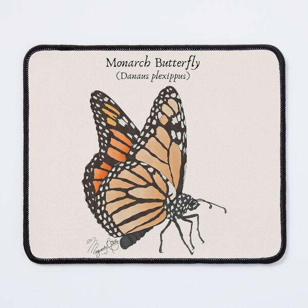 Item preview, Texas Native Insect- Monarch Butterfly (Danus plexippus) Vintage Nature Art designed and sold by Marguerite Artistry.