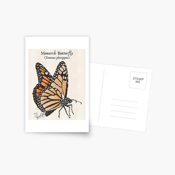 Item preview, Texas Native Insect- Monarch Butterfly (Danus plexippus) Vintage Nature Art designed and sold by Marguerite Artistry.