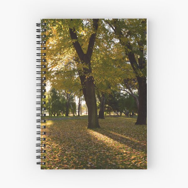 Item preview, Highlights in Autumn designed and sold by Lorraine McCarthy.