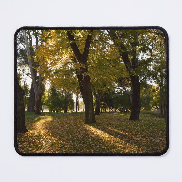 Item preview, Highlights in Autumn designed and sold by Lorraine McCarthy.