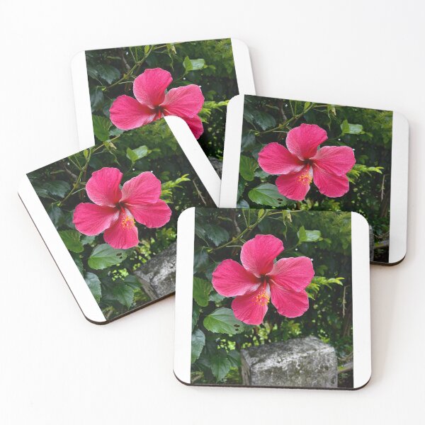 Item preview, Chinese Hibiscus designed and sold by dedelynnxx.
