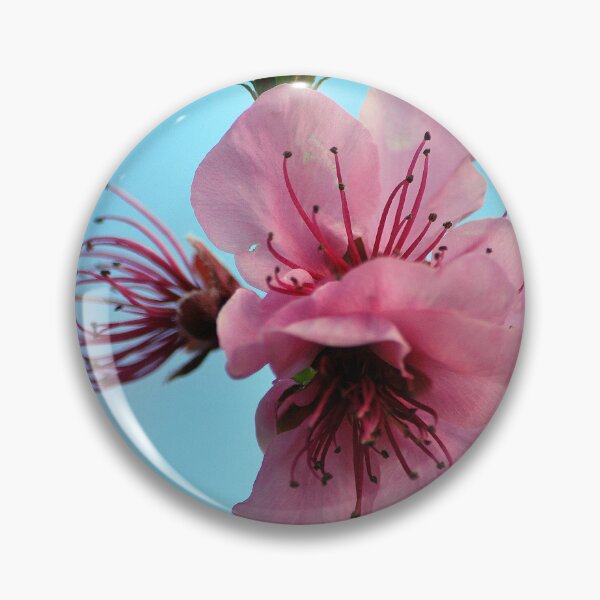 Item preview, Wonderful Blossom designed and sold by Lozzar Flowers & Art.