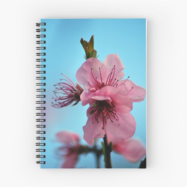 Item preview, Wonderful Blossom designed and sold by Lozzar Flowers & Art.