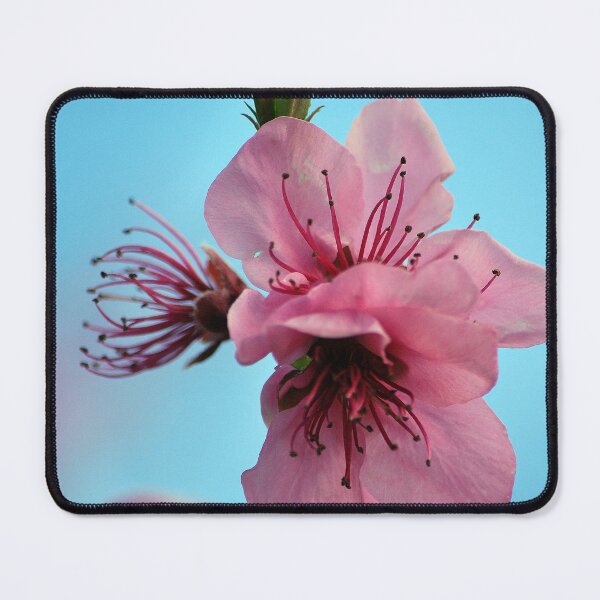 Item preview, Wonderful Blossom designed and sold by Lozzar Flowers & Art.