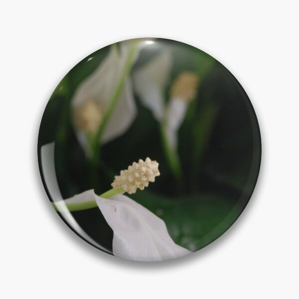 Item preview, Peace Lily designed and sold by Lozzar Flowers & Art.
