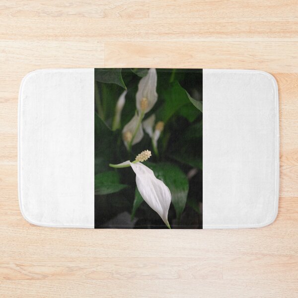 Item preview, Peace Lily designed and sold by Lozzar Flowers & Art.