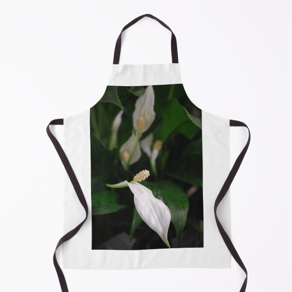 Item preview, Peace Lily designed and sold by Lozzar Flowers & Art.