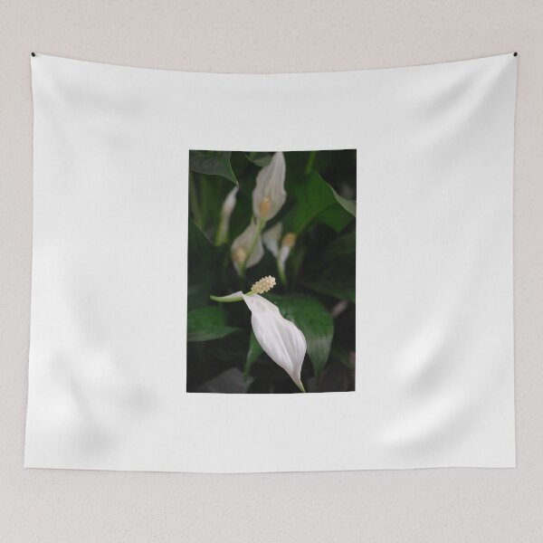 Item preview, Peace Lily designed and sold by Lozzar Flowers & Art.