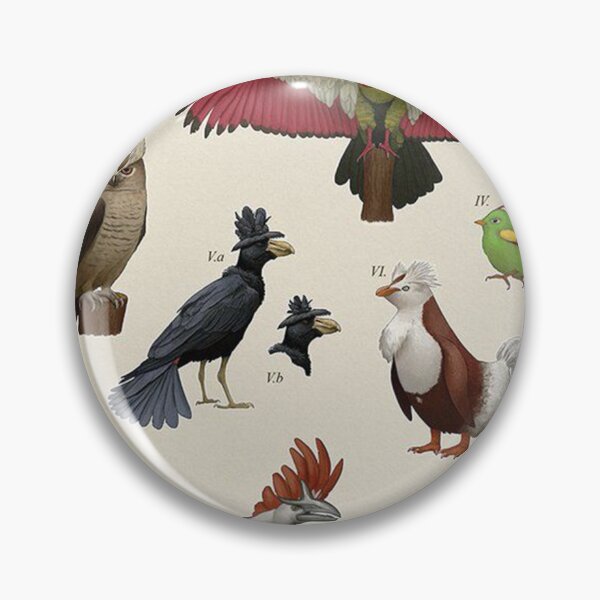 Item preview, Birds From - The Johto Region designed and sold by shanniaMilton.