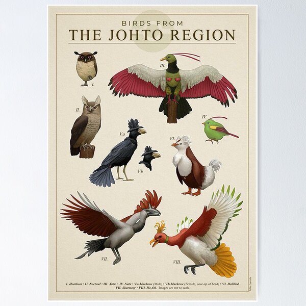 Artikel-Vorschau von Vögel aus der Johto-Region, designt und verkauft von shanniaMilton.