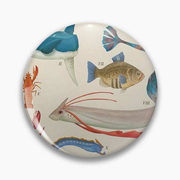 Item preview, Marine Life From - The Hoenn Region designed and sold by shanniaMilton.