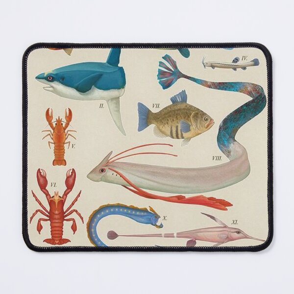 Item preview, Marine Life From - The Hoenn Region designed and sold by shanniaMilton.