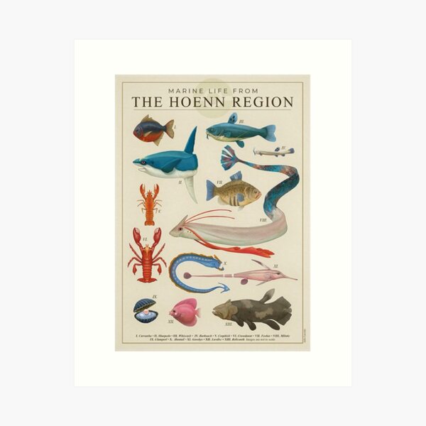 Item preview, Marine Life From - The Hoenn Region designed and sold by shanniaMilton.