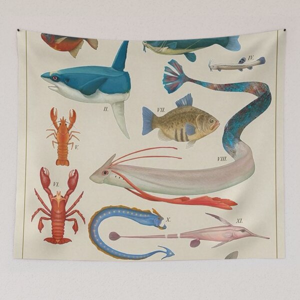 Item preview, Marine Life From - The Hoenn Region designed and sold by shanniaMilton.