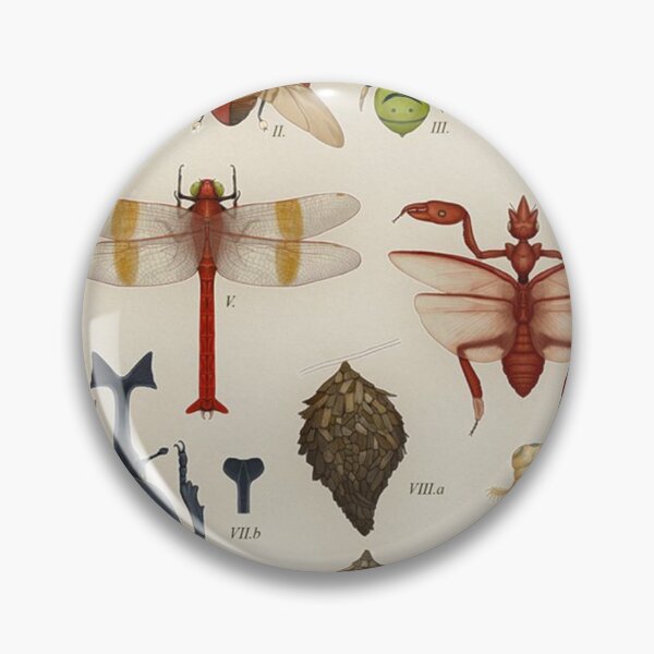 Item preview, Arthropods From - The Johto Region designed and sold by shanniaMilton.