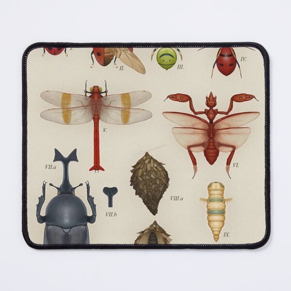 Item preview, Arthropods From - The Johto Region designed and sold by shanniaMilton.