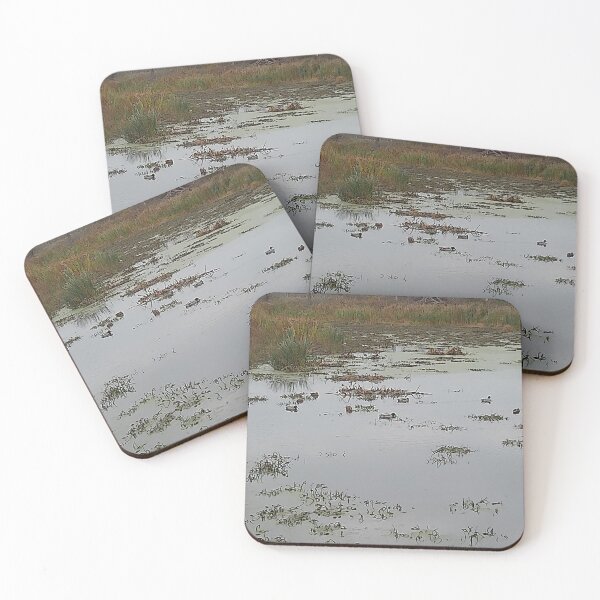 Item preview, Ducks on water designed and sold by TinyTrails.