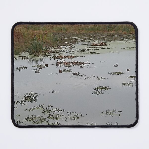 Item preview, Ducks on water designed and sold by TinyTrails.