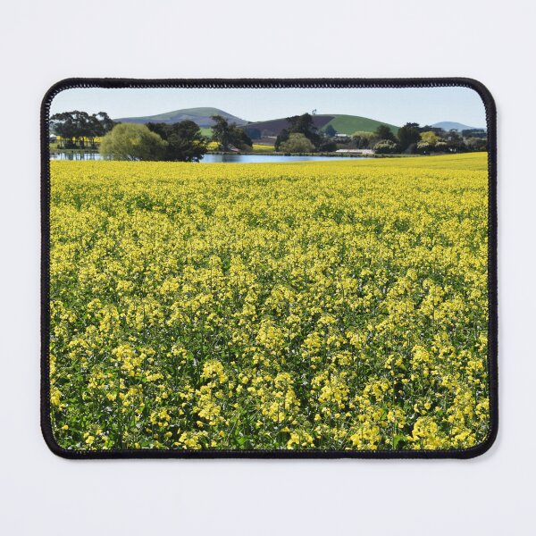 Item preview, Golden Canola Fields of Victoria designed and sold by Yolanda Caporn Art.