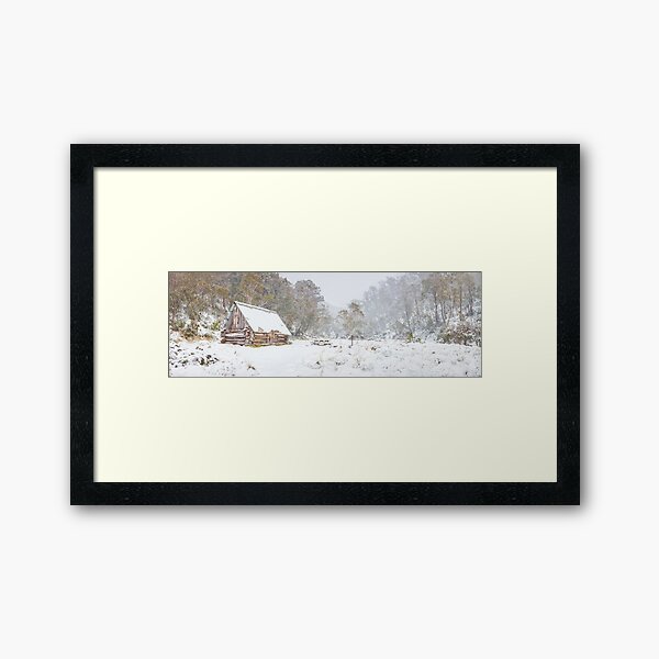 Framed Art Print