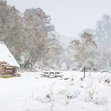Artwork thumbnail, Dibbins Hut in Snow, Mount Hotham, Victoria, Australia by Michael Boniwell