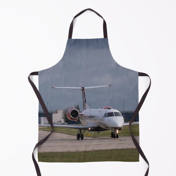 Item preview, MAN to INV Loganair Embraer ERJ-145EP designed and sold by Skyframe Aviation.