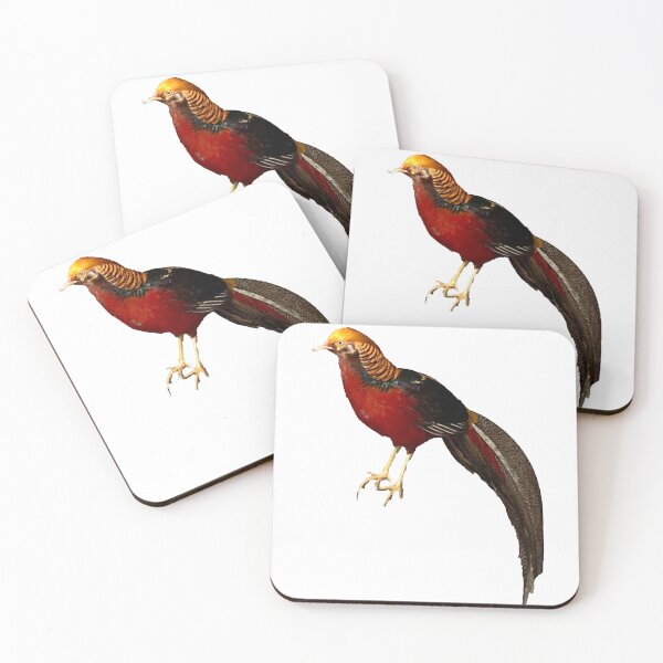 Item preview, Golden Pheasant designed and sold by Taranodongirl7.