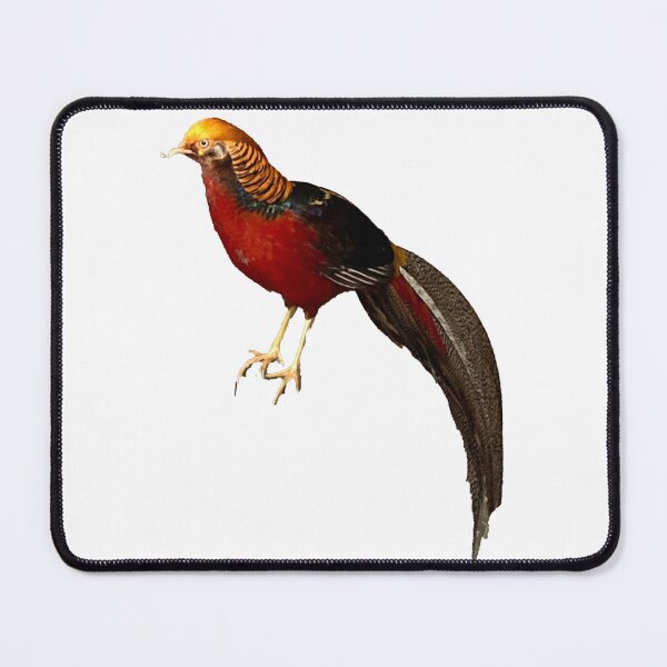 Item preview, Golden Pheasant designed and sold by Taranodongirl7.