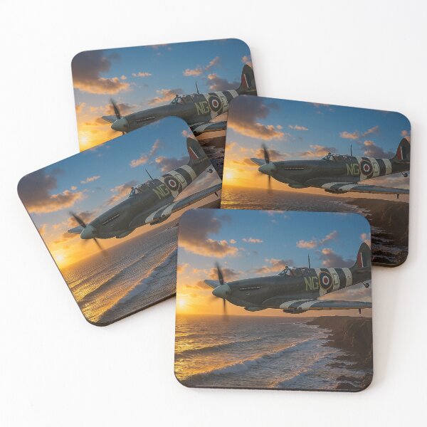 Item preview, Coastal Sentinel BBMF designed and sold by Skyframe Aviation.