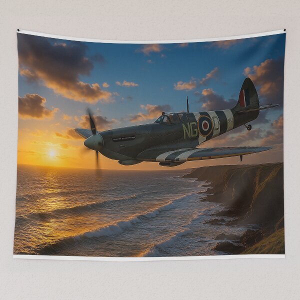 Item preview, Coastal Sentinel BBMF designed and sold by Skyframe Aviation.