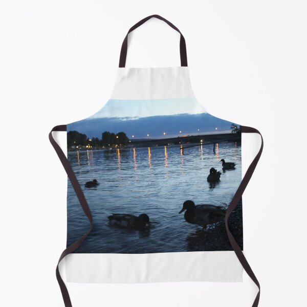 Item preview, Lake Constance at night with ducks designed and sold by jonneyboy99.