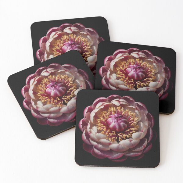 Item preview, Exotic Buckeye Peony Flower on Black designed and sold by SolaoLab.