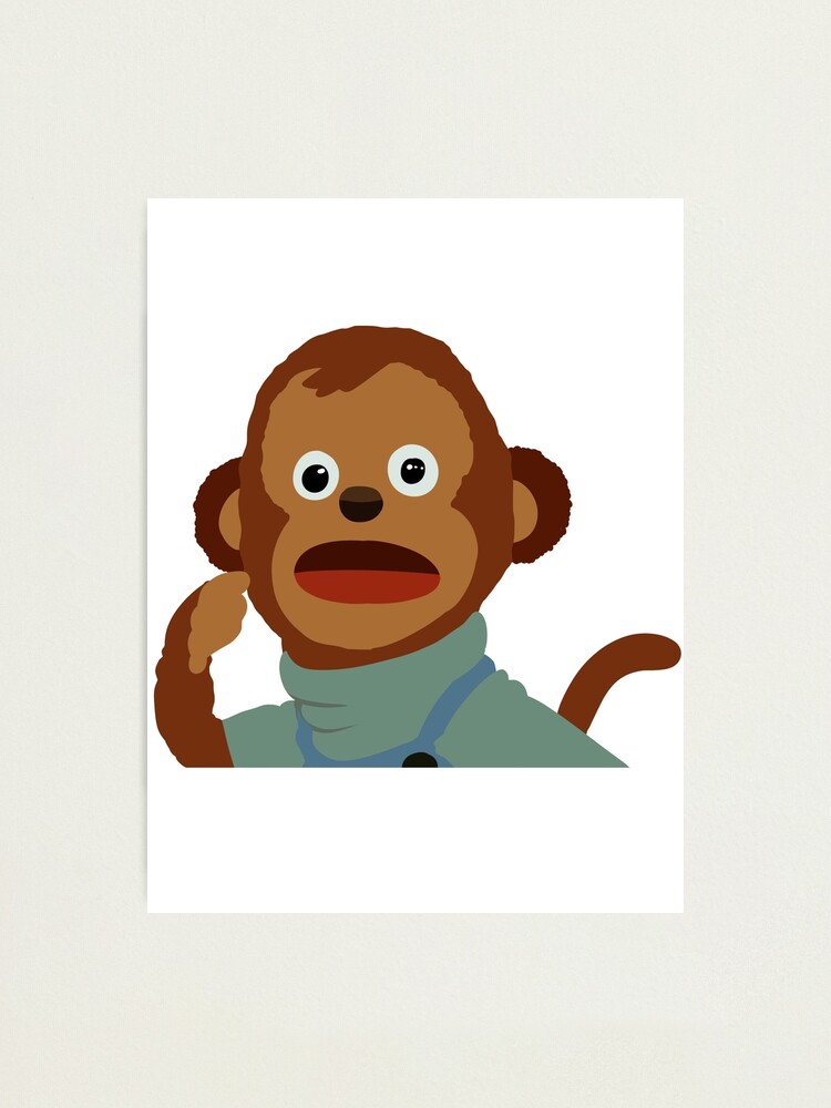 Meme Monkey Sticker