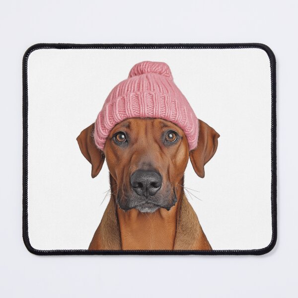 Item preview, Cozy Rhodesian Ridgeback dog Wearing Pink Winter Hat Trendy Animal Fashion Artwork designed and sold by LazyOwlStore.
