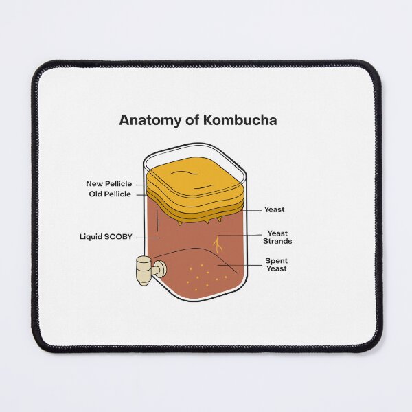 Item preview, Anatomy of Kombucha – Fermentation Illustration designed and sold by MICROBE & CO..
