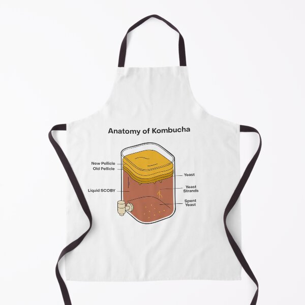 Item preview, Anatomy of Kombucha – Fermentation Illustration designed and sold by MICROBE & CO..
