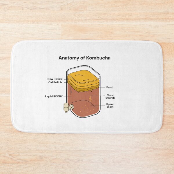 Item preview, Anatomy of Kombucha – Fermentation Illustration designed and sold by MICROBE & CO..