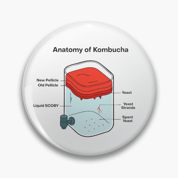 Item preview, Anatomy of Kombucha – Fermentation Illustration designed and sold by MICROBE & CO..